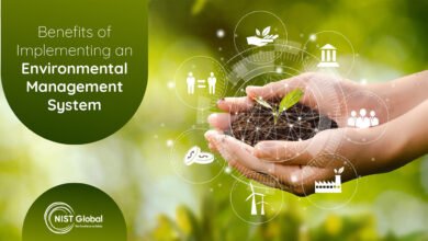 what is an environmental management system