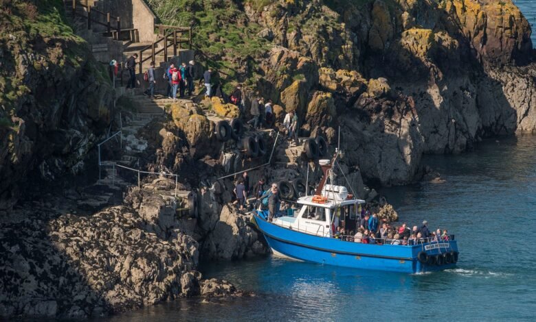 skomer island ferry