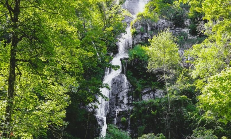 canonteign falls tickets