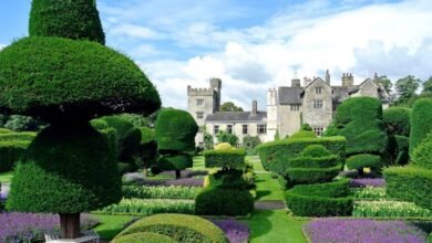 things to do in kendal