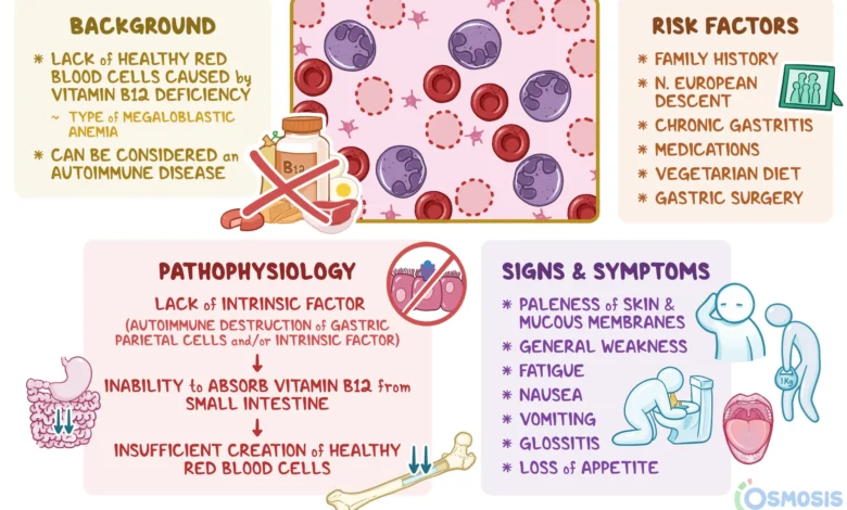 pernicious anemia symptoms